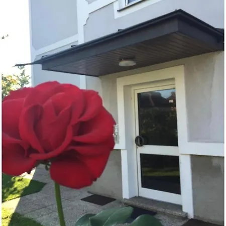 Apartment Naehe Der Innenstadt Mit Parkplatz *